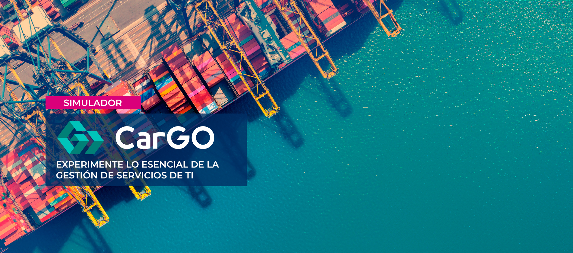 Simulador CarGO